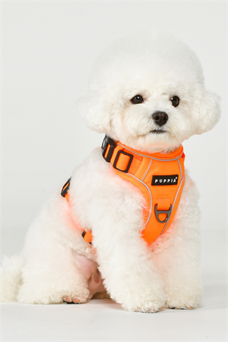 Puppia Neon Harness H Göğüs Tasması Turuncu 