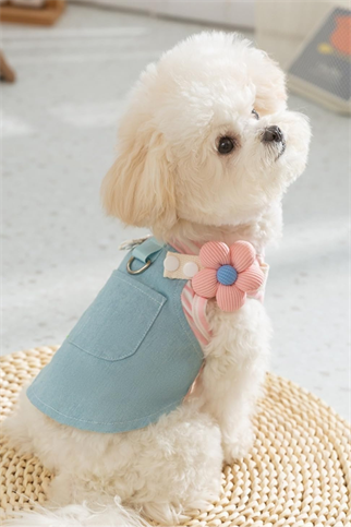 DolcePets Flower Tasmalı Kot Elbise