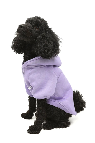 Goodboi Köpek Hoodie Lila