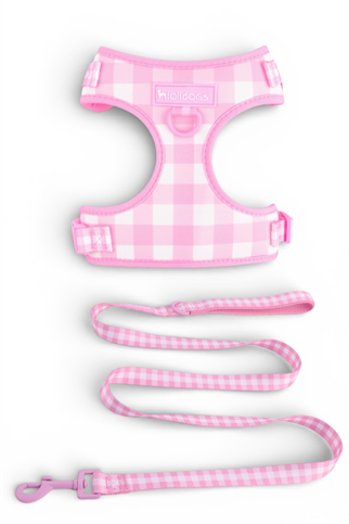 Lolidogs Köpek Göğüs Tasması ve Kayış Seti | Picnic
