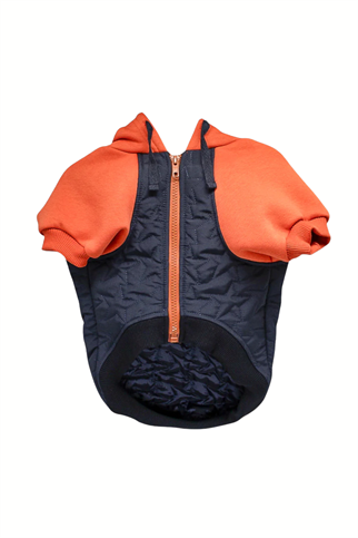 Asky And Erd Star Varsity Hoodie Terracotta