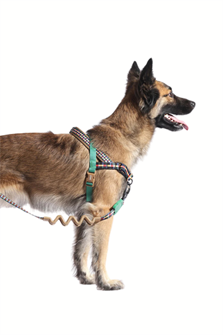 Zee.Dog Travis Softerwalk Köpek Göğüs Tasması