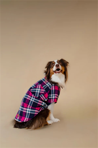 Asky&Erd Plaid Shirt Midnight Berry