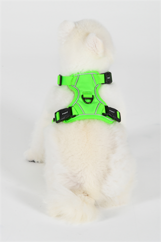 Puppia Neon Harness H Göğüs Tasması Yeşil