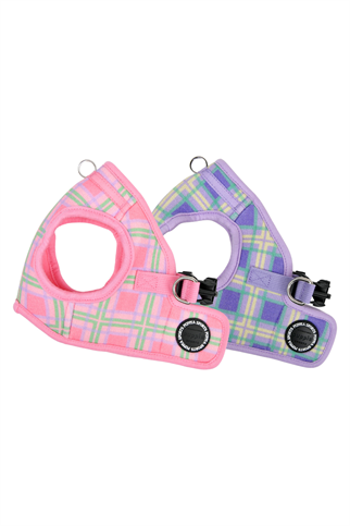 Jaylen Harness B Köpek Göğüs Tasması Mor