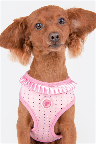 Pinkaholic New York Mila Harness Göğüs Tasması Pembe