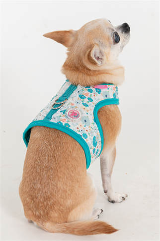 Pinkaholic New York Amabel Harness J Köpek Göğüs Tasması Mavi 