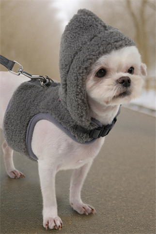 Pinkaholic New York Itzel Pinka Harness Köpek Göğüs Tasması Gri 