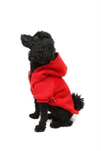 Goodboi Köpek Hoodie Kırmızı