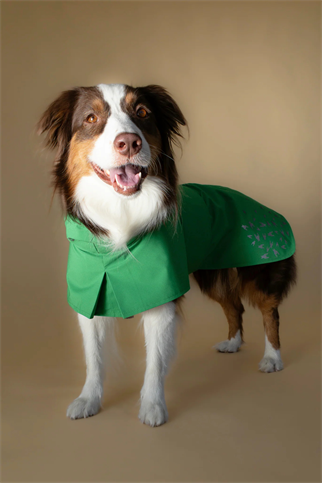 Seattle Raincoat | Evergreen
