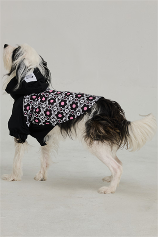 Godoist Köpek Yağmurluk - Raincoat Series - Milla