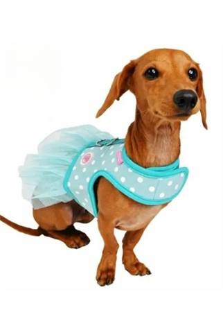 Pinkaholic New York Ida Pinka Harness Göğüs Tasması Mint Yeşil 