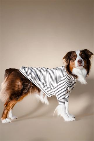 Asky&Erd Turtleneck Tshirt | Classic Stripe
