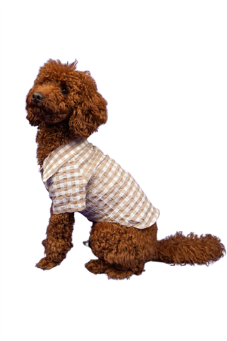 Goodboi Pötikareli Kahverengi Gofre Gömlek