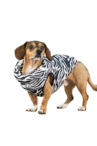 Puppia Wild Puffer Vest - Siyah Köpek Montu