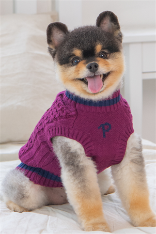 Puppia Fannar Örgü Köpek Kazağı Bordo 