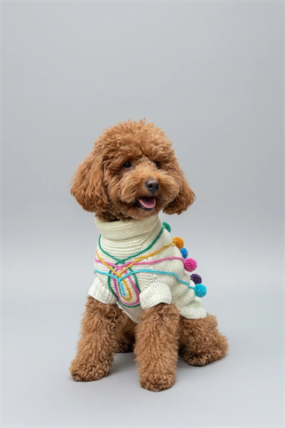 My Petit Paw Ponponlu Köpek Kazak