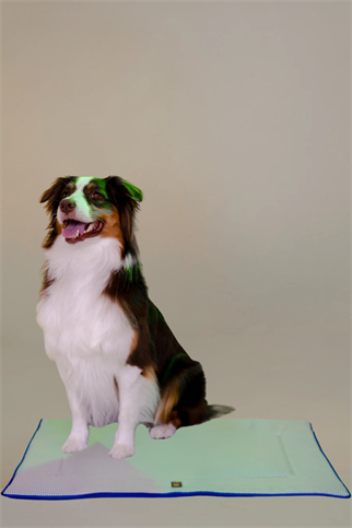 Asky&Erd Travel Bed Marine Blue