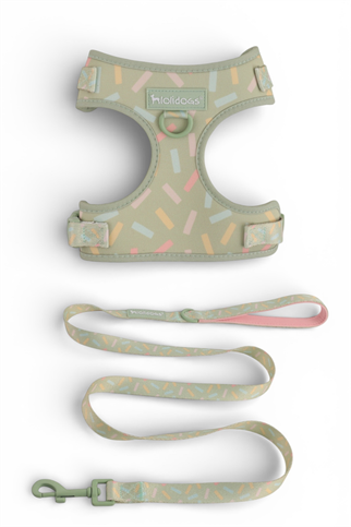  Lolidogs Köpek Göğüs Tasması ve Kayış Seti | Sprinkle