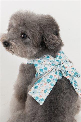 Pinkaholic New York Amabel Harness Köpek Göğüs Tasması Mavi 