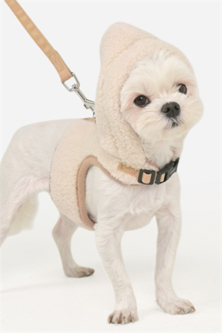 Pinkaholic New York Itzel Pinka Harness Köpek Göğüs Tasması Bej 