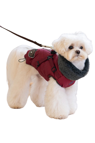 Puppia Isolde Kışlık Köpek Tulumu - Bordo