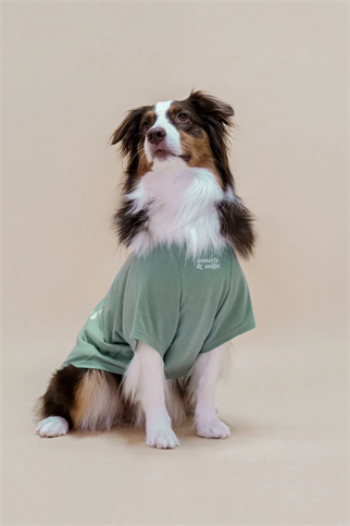 Asky&Erd It’s Just Us Tshirt | Seafoam Mist Köpek Tişört