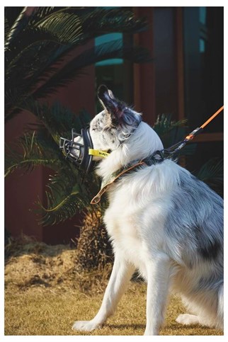 M-Pets Bark Guard Köpek Ağızlığı L Siyah/Sarı