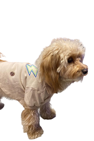 My Petit Paw Bej Flash T-Shirt