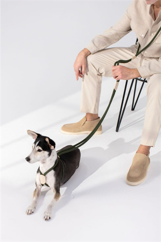 Zoe Pet Atelier All In One Köpek Göğüs Tasması ve Gezdirme Kayışı Seti Haki Yeşil ve Bej