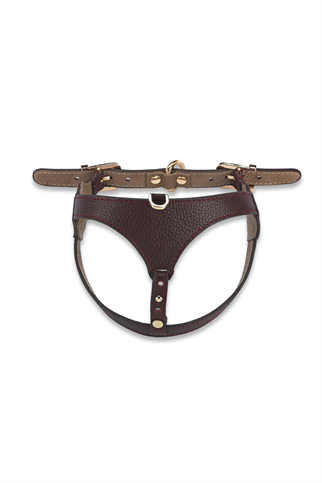 Lupinus Atelier Cavalier Cerasus x Yaga Köpek Göğüs Tasması Bordo