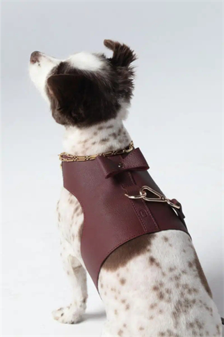 Zoe Pet Atelier Vest Harness Köpek Göğüs Tasması Bordo