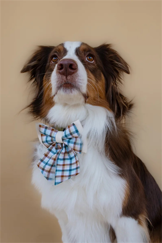 Asky&Erd Ribbon Bow Cedar Plaid Papyon