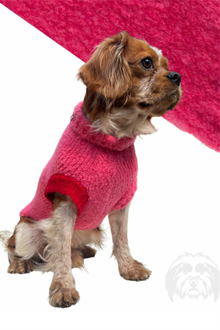 Suchkin Hole Pinkest (New) Köpek Kazağı