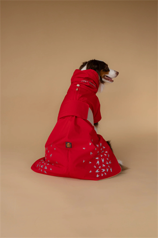 Asky&Erd Seattle StormGuard Scarlet Sand Köpek Mont