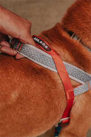 Zee.Dog Reebok x Zee.Dog Suede SofterWalk Göğüs Tasması