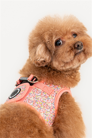 Kealoha Harness B Köpek Göğüs Tasması Pembe 