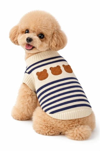 Dolcepets Ayıcık Desenli Köpek Kazak Lacivert