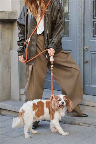 Zoe Pet Atelier Loop Crossbody Köpek Gezdirme Kayışı Pas Turuncusu