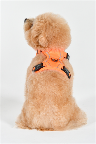 Puppia Neon Harness H Göğüs Tasması Turuncu 