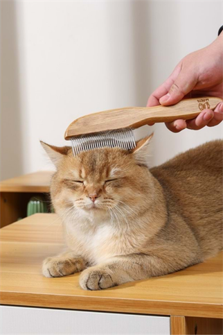 M-Pets Bamboo Köpek - Kedi Tarak