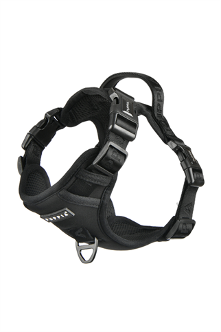 Jarek Harness H tipi Köpek Göğüs Tasması Siyah 