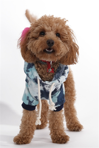 Doredog mavi batik desenli sweat