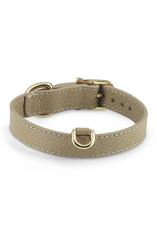 Duke Byssus Köpek Boyun Tasması