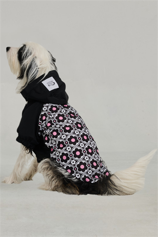 Godoist Köpek Yağmurluk - Raincoat Series - Milla