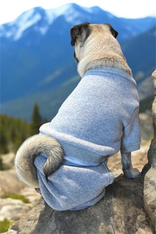 ZiggyDog Açık Gri Eşofman Takımı