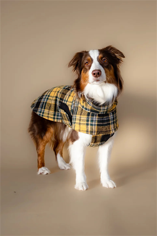 Asky&Erd Chicago Chicago Vest Golden Plaid