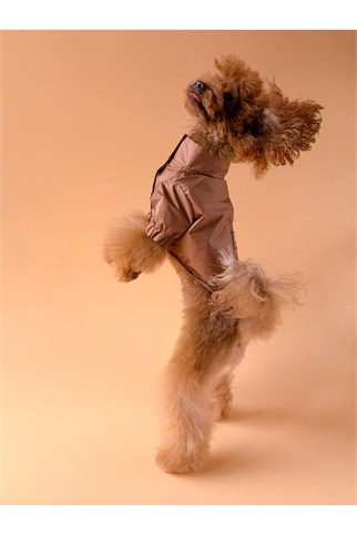 Zoë Pet Atelier × Lolidogs Köpek Yağmurluğu Caramel