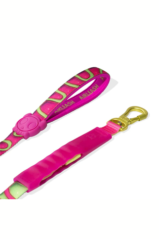 Zee.Dog House of 3D Jelly Airleash Gezdirme Tasması