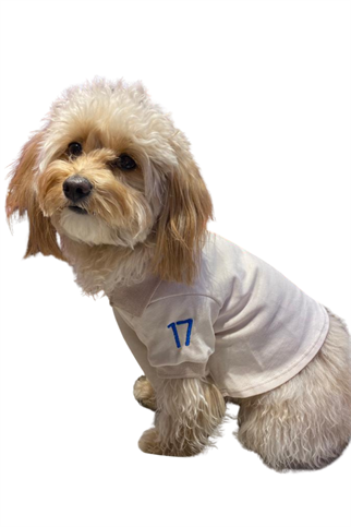 My Petit Paw Bej Flash T-Shirt